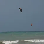 The Wave